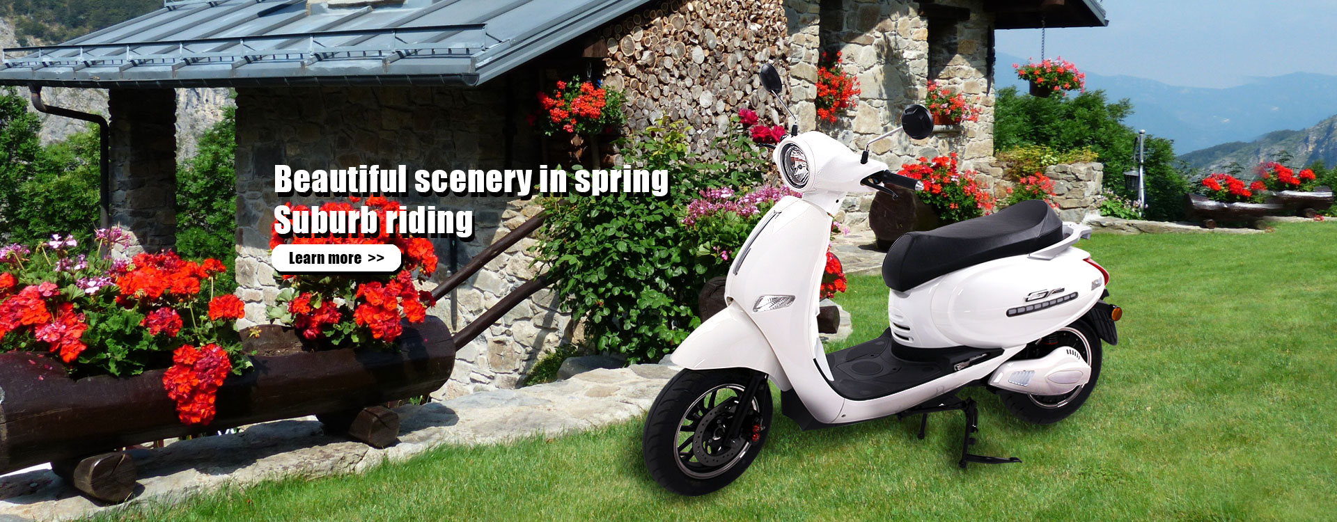 Citycoco Scooter