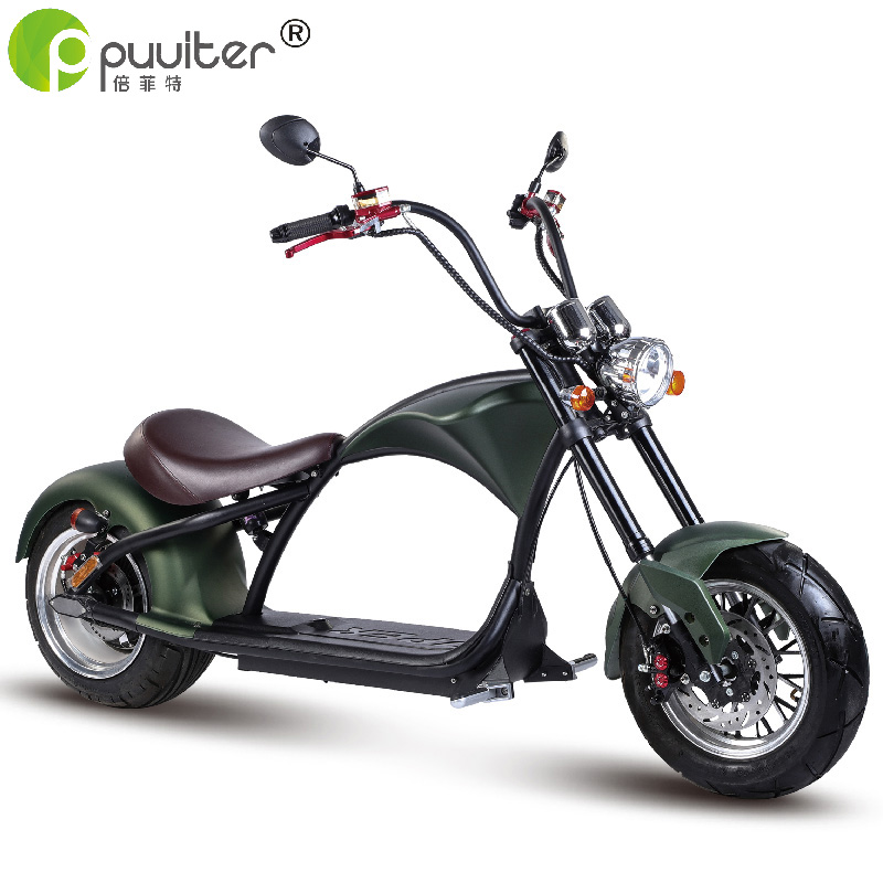 2000W 60V20A EEC electric citycoco scooter with new design