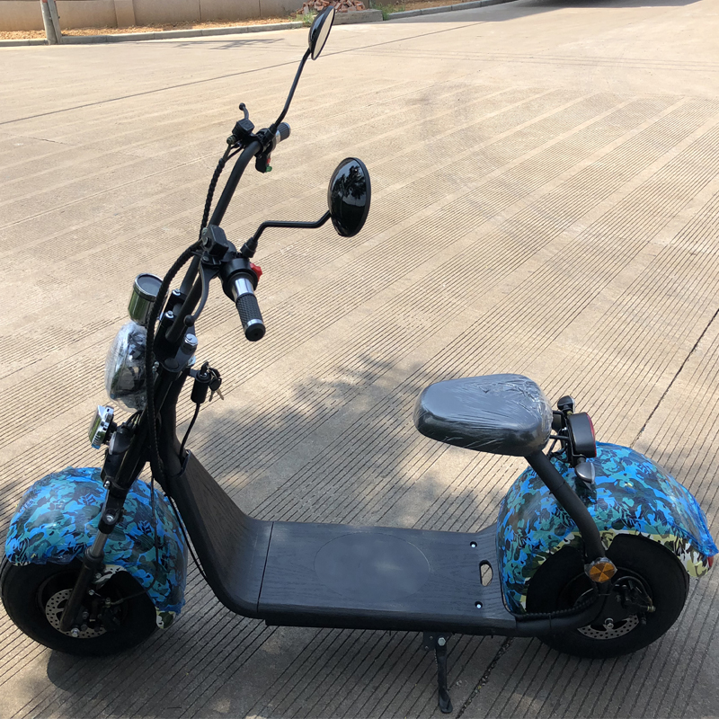 EEC/COC citycoco electric scooter motorcycle removable battery long distane