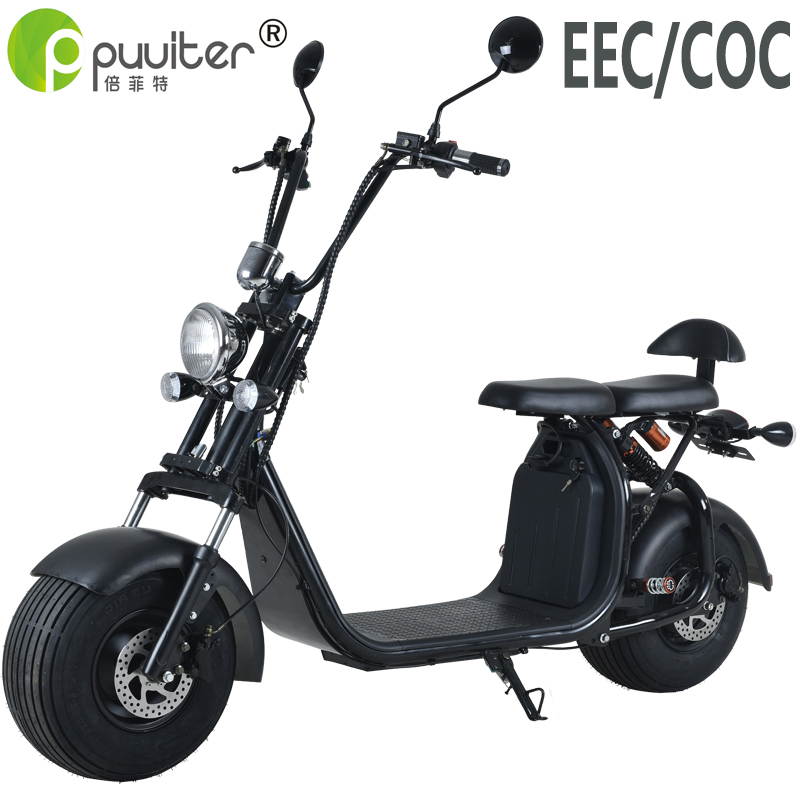 EEC/COC 1500W 20A fashion electric citycoco mobility scooter pit bike with removable battery C07A